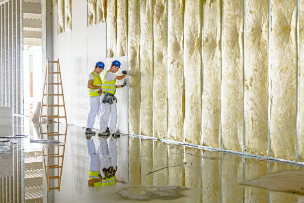 Best Insulation for Commercial Buildings  in Center Point, TX